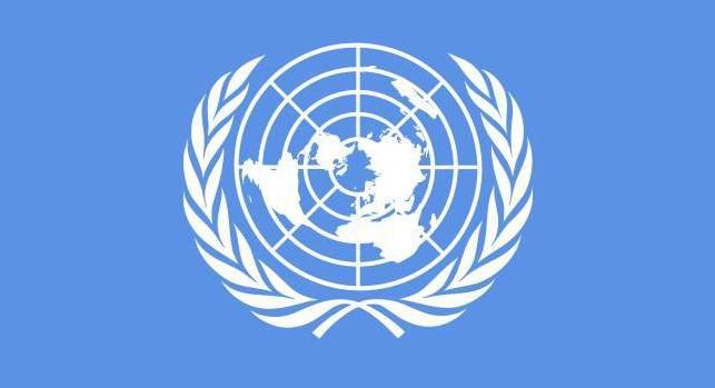 上海迎來中國首個聯(lián)合國二類機構(gòu)，軟件教育創(chuàng)新引發(fā)世界關注