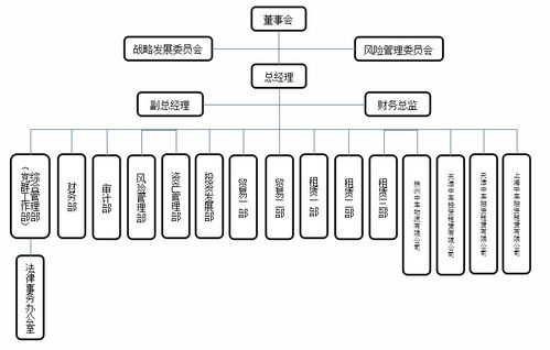 中國(guó)中車旗下46家子公司軟件開(kāi)發(fā)組織架構(gòu)概覽