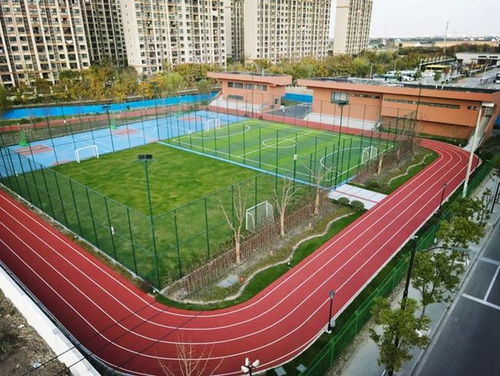 匯聚體育力量，共筑健康青浦——青浦區(qū)全民健身體育組織年度工作盤(pán)點(diǎn)